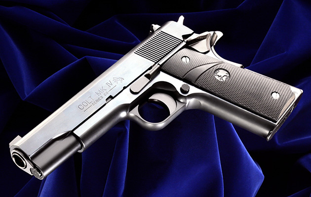 ワイルドホーク ver.SARABA 1