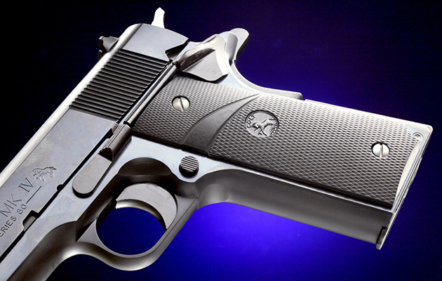 ワイルドホーク ver.SARABA 6