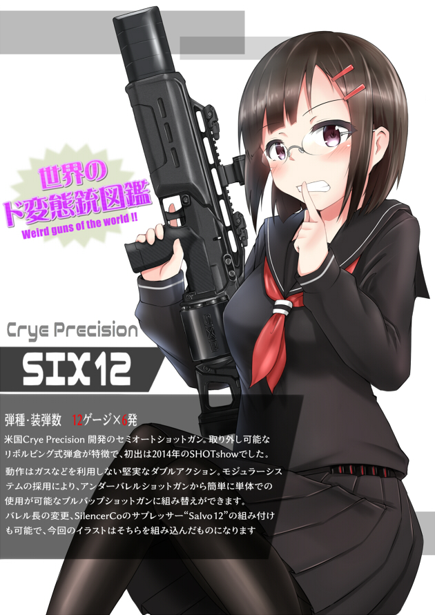 世界のド変態銃図鑑 Vol.27　Crye Precision SIX 12　1