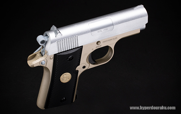 フロント・リアサイト