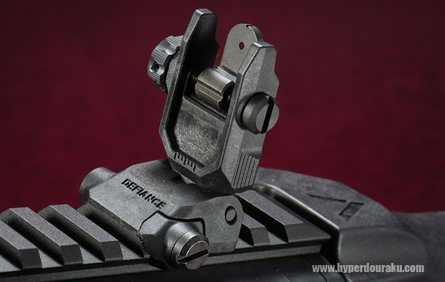 リアのピープサイト