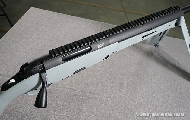 ピカティニーレール