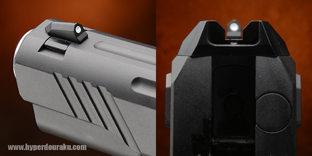 フロントサイト　リアサイト