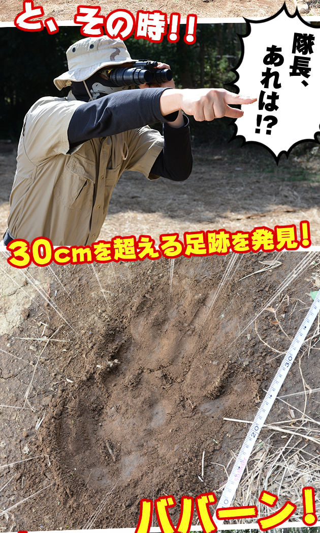 サバ原人を追え! 2