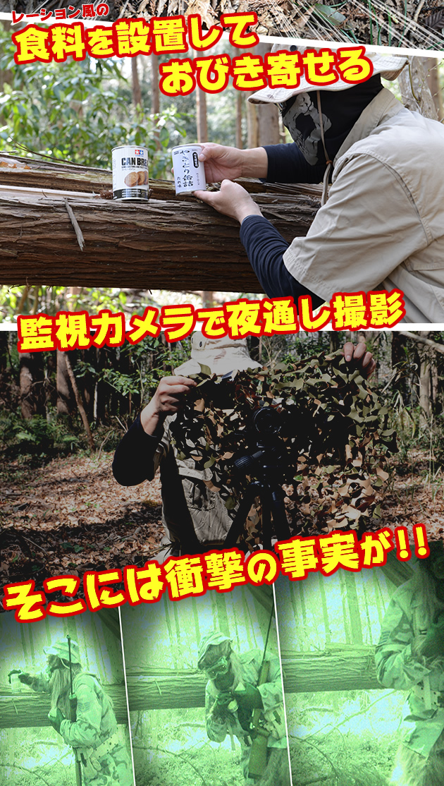 サバ原人を追え! 4