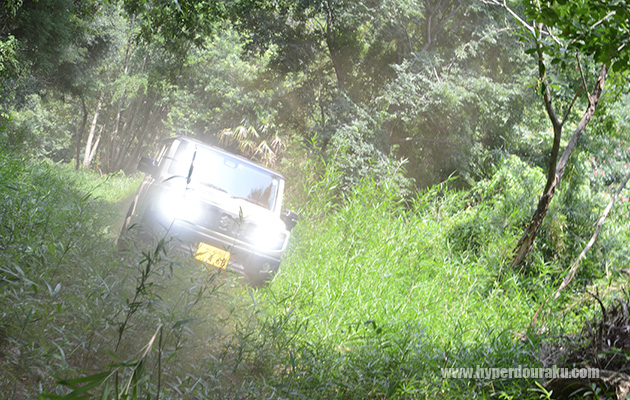 格段に進化している、いい車