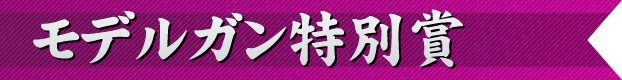 モデルガン特別賞