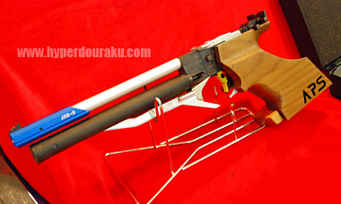 APS-3カスタムモデル