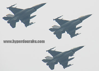 第35戦闘航空団のF-16ファイティングファルコン