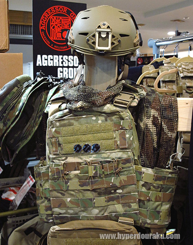 アグレッサーグループ