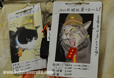 にゃんこ達も旧軍コス