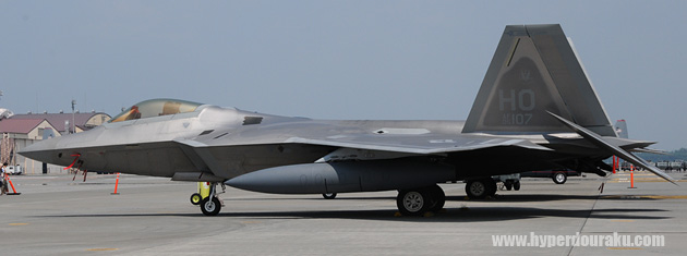 流麗なシルエット