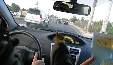 左ハンドル、右側通行