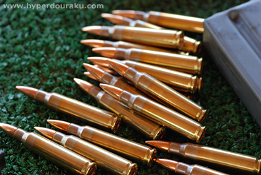 .223レミントンはPMC Bronze