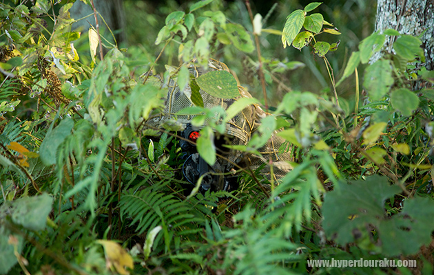 フィールドにブレンドイン