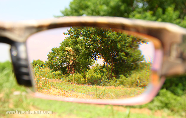 ハイコントラスト系の色味ラインナップ