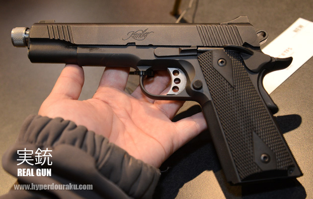 Kimber Custom TLE II TFS