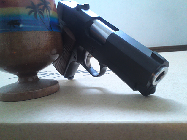 デトニクスをハワイ風に