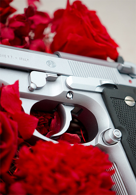 My hidden gun in a powder room