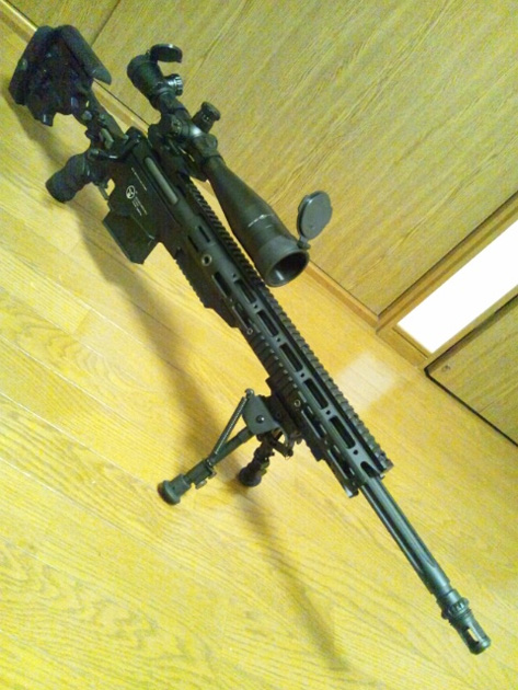 レンミントンの進化型