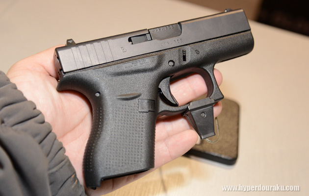 手のひらサイズ