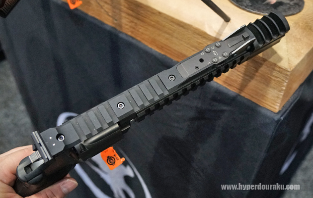 ピカティニーレールがバレルサイドと、フレームトップ