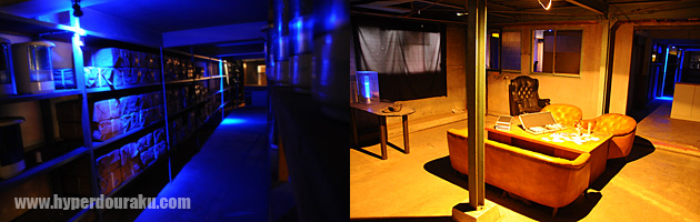 フィールドの演出が素晴らしい