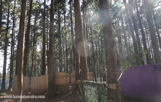 樹木に覆われている