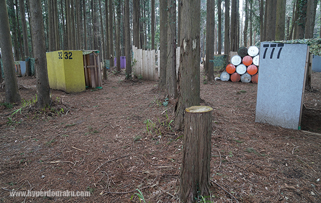 フィールドはフラット