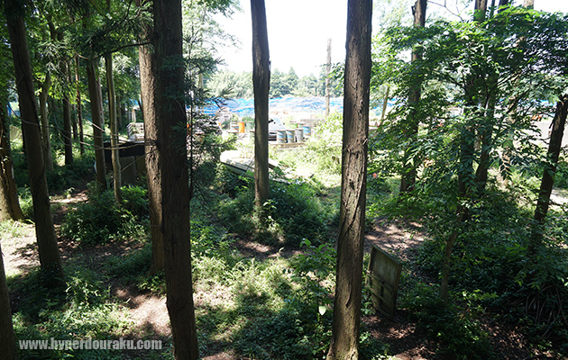 CQBエリア方面の索敵も