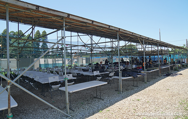 セーフティエリア