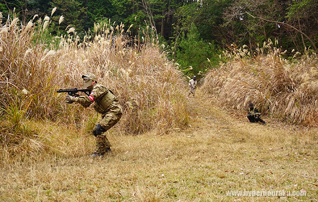 ブッシュが生い茂って