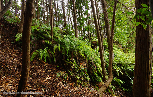 2人のプレイヤー