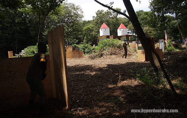 フラットな森林系のフィールド