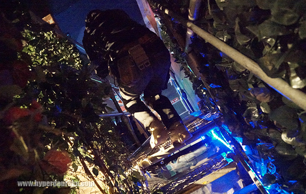 キャットウォークで研究所に侵入