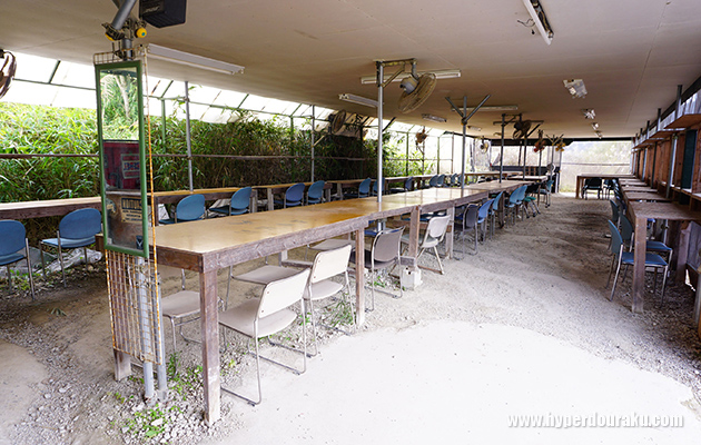 セーフティエリア