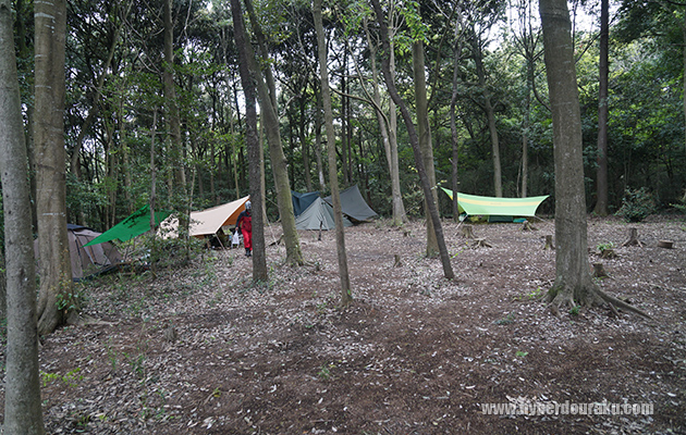 併設キャンプ場