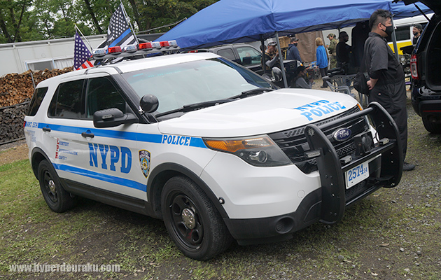 ポリスカーがたくさん