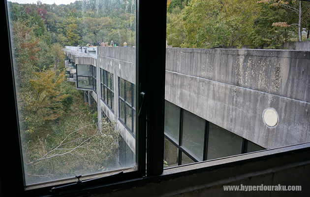 窓から狙えるポイントも