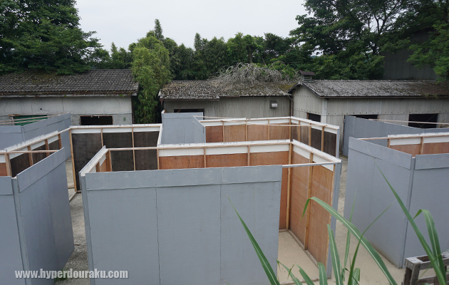 だ迷路のような場所