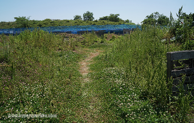 ギリースーツも効果が高そう