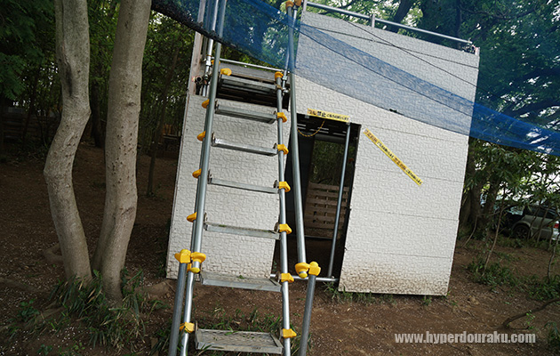 階段で2階に上がれる