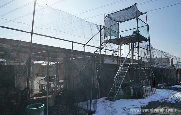 観戦台と監視台