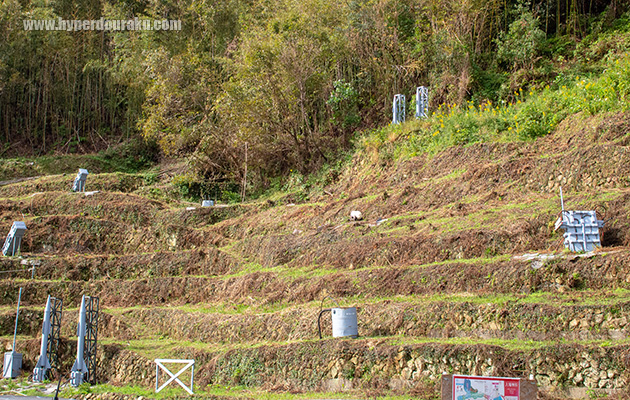 CIWSだの対空機関砲だの
