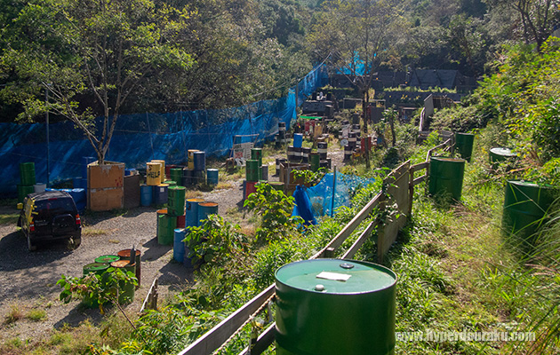 フィールド全景