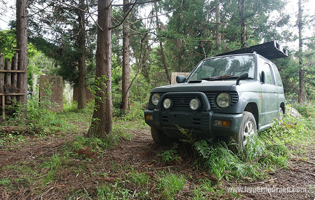 森林のゲームエリア