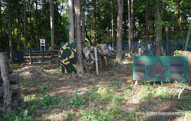 フィールド奥の1/3ほどは森