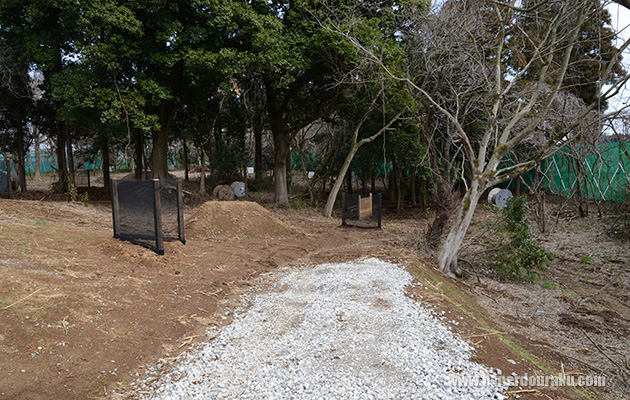 フィールド奥には林