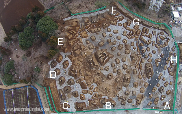 フィールドマップ