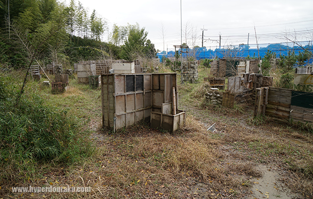 フィールドはフラット